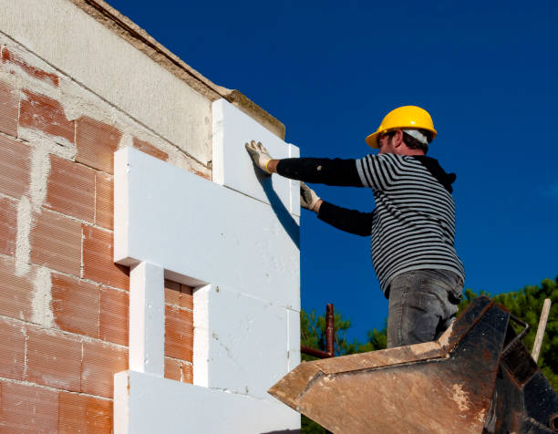 Best Eco-Friendly Insulation in Chadwicks, NY