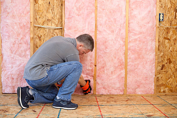 Best Cellulose Insulation in Chadwicks, NY